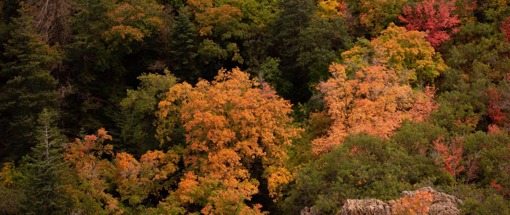 Utah in autumn Photo by Alex Moliski on Unsplash